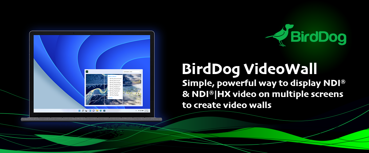 BirdDog VideoWall: Simple. Elegant. Revolutionary.