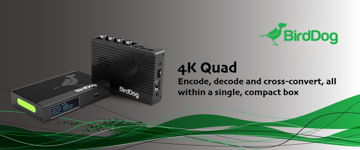 4K Quad: Encode, decode and cross-convert 
